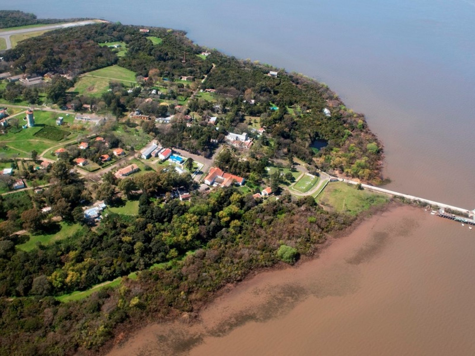 Cómo ingresó el “picudo rojo” a la Isla Martín García y las medidas para evitar que afecte las palmeras de toda la región