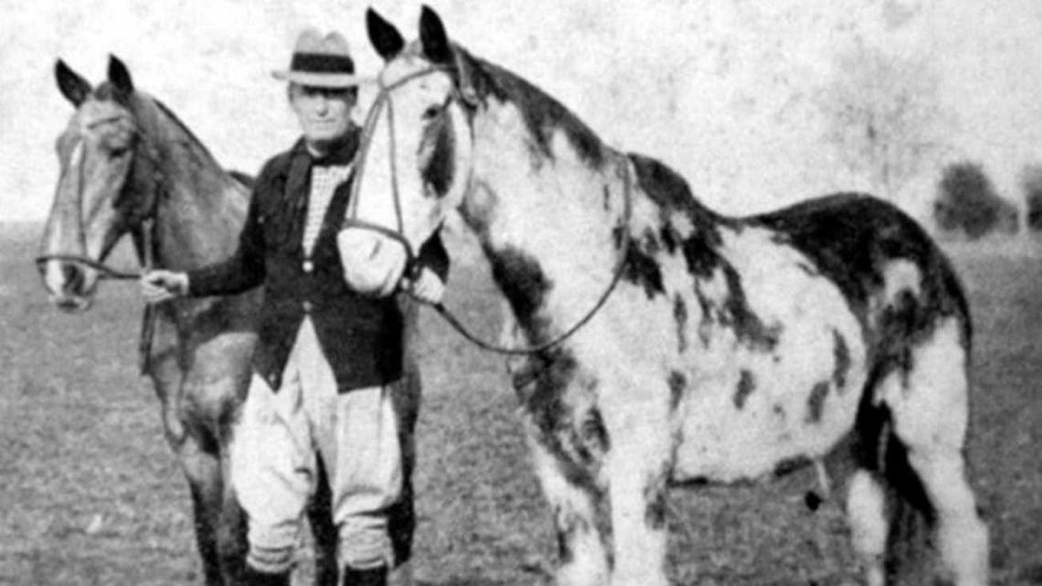 Gato y Mancha: la epopeya de los caballos criollos que unieron Buenos Aires con Nueva York