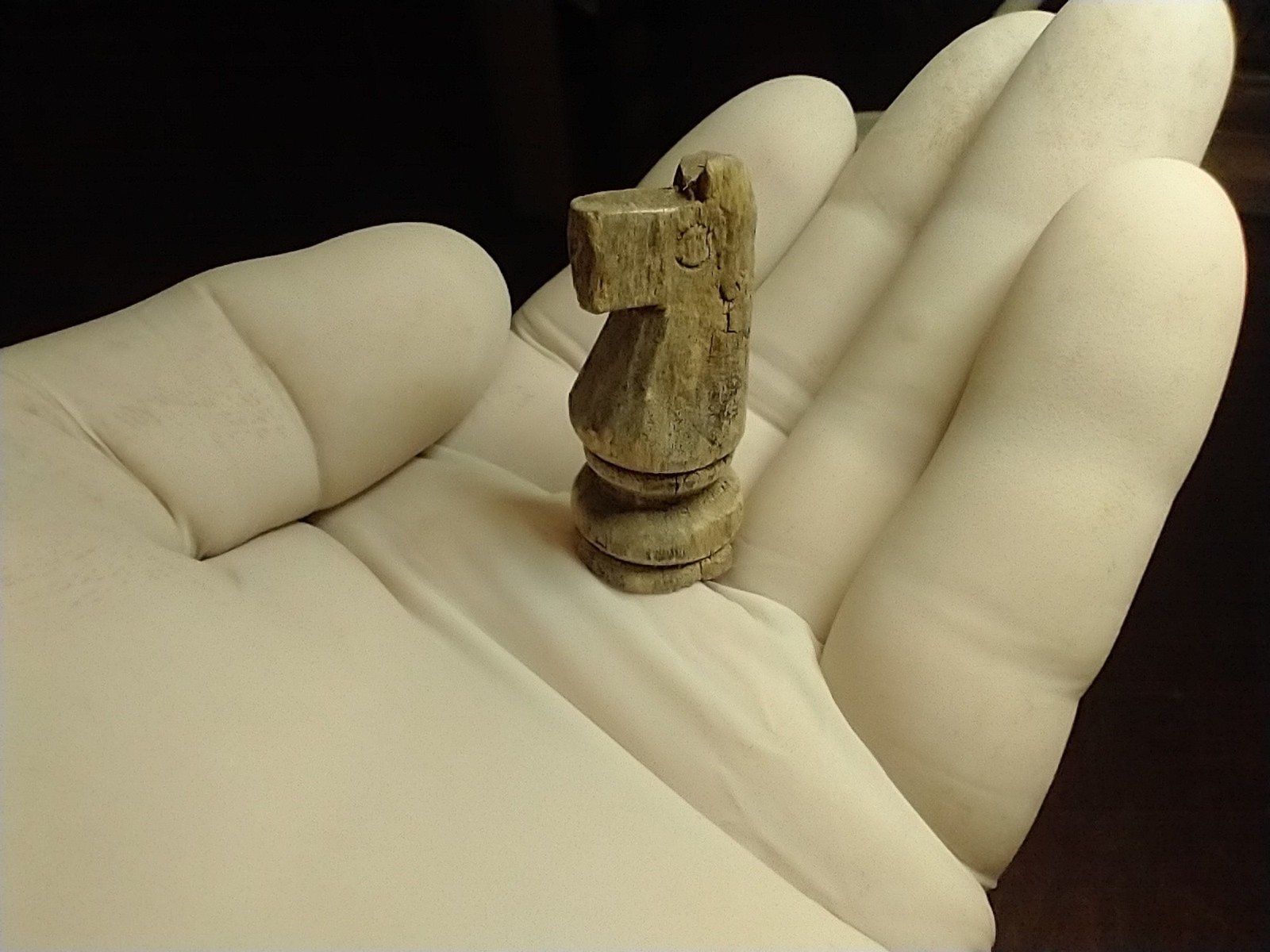 Hallan una pieza de ajedrez de las tropas que participaron de la Batalla de Vuelta de Obligado