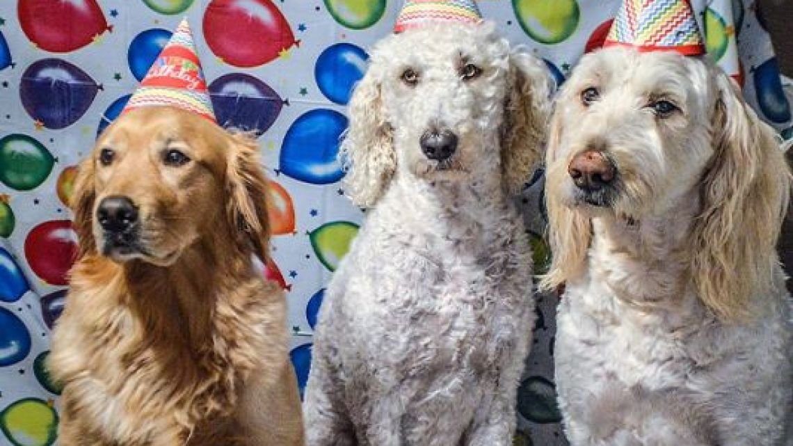 Hijos: caída de la natalidad y deseo sin raíces