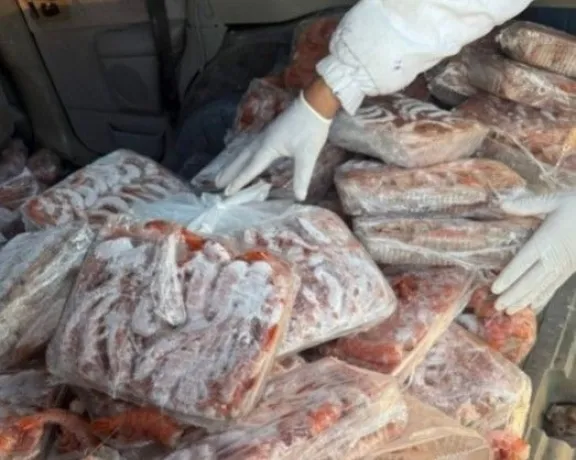 Secuestran 230 kilos de langostinos que eran transportados en un auto particular