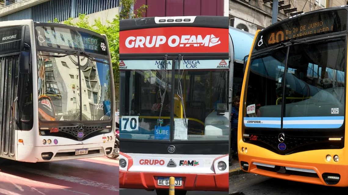 Transporte urbano en Córdoba: con nuevos operadores, Passerini quiere reconfigurar el sistema de colectivos en la ciudad