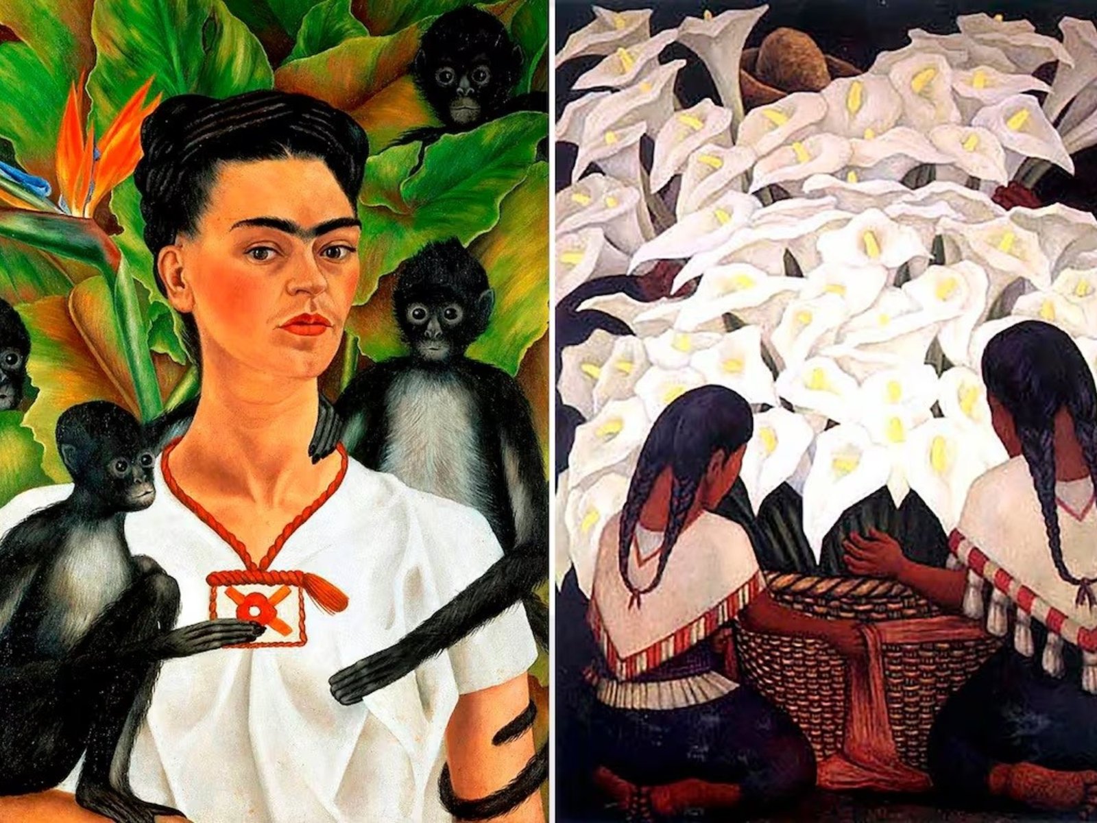 críticas por la gestión privada de un acervo clave del arte moderno latinoamericano