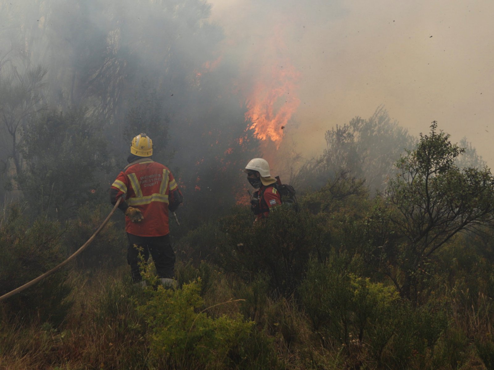 detectaron tres nuevos focos de incendio en el parque nacional Los Alerces