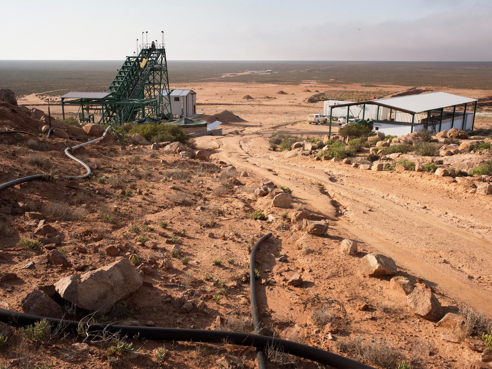 qué son, para qué sirven y por qué se volvieron un objetivo en la mira de Trump