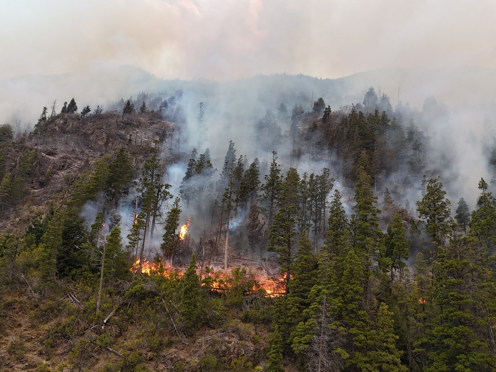 Con un festival literario a beneficio de la Patagonia, una veintena de escritores se unen para ayudar