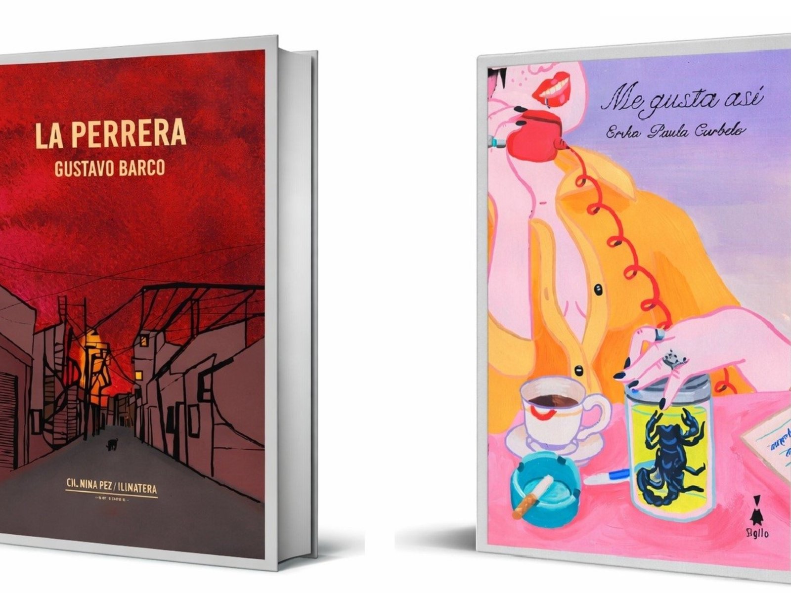 Dos libros de cuentos para entender el presente