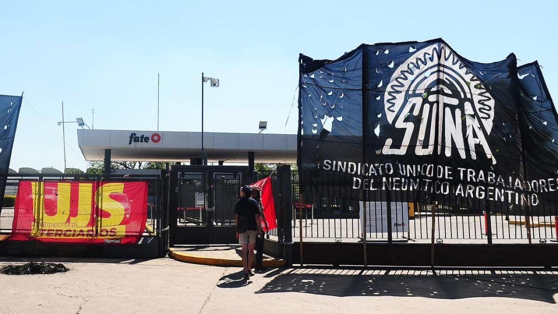 El señor de los insultos y sus leones de cartón