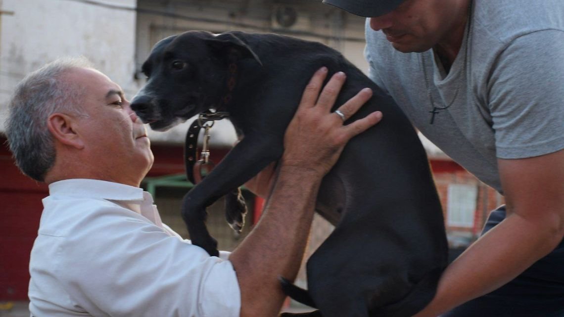Giro en la causa "Alita": el Fiscal General de Corrientes ordenó investigar la zoofilia como crueldad animal