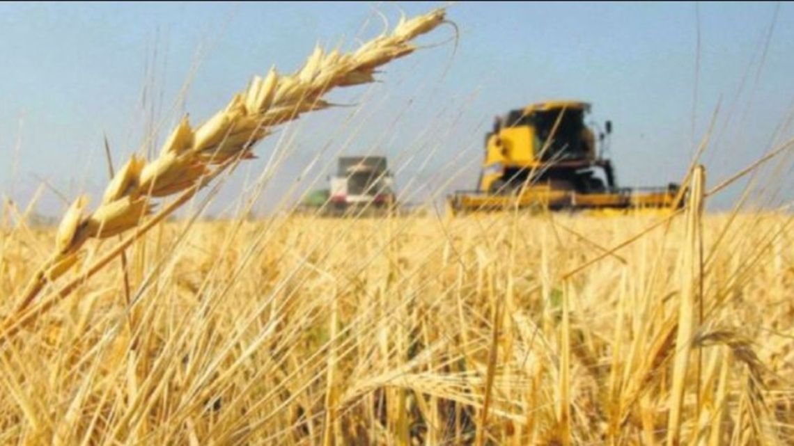 La actividad económica creció 0,4% en enero según el INDEC