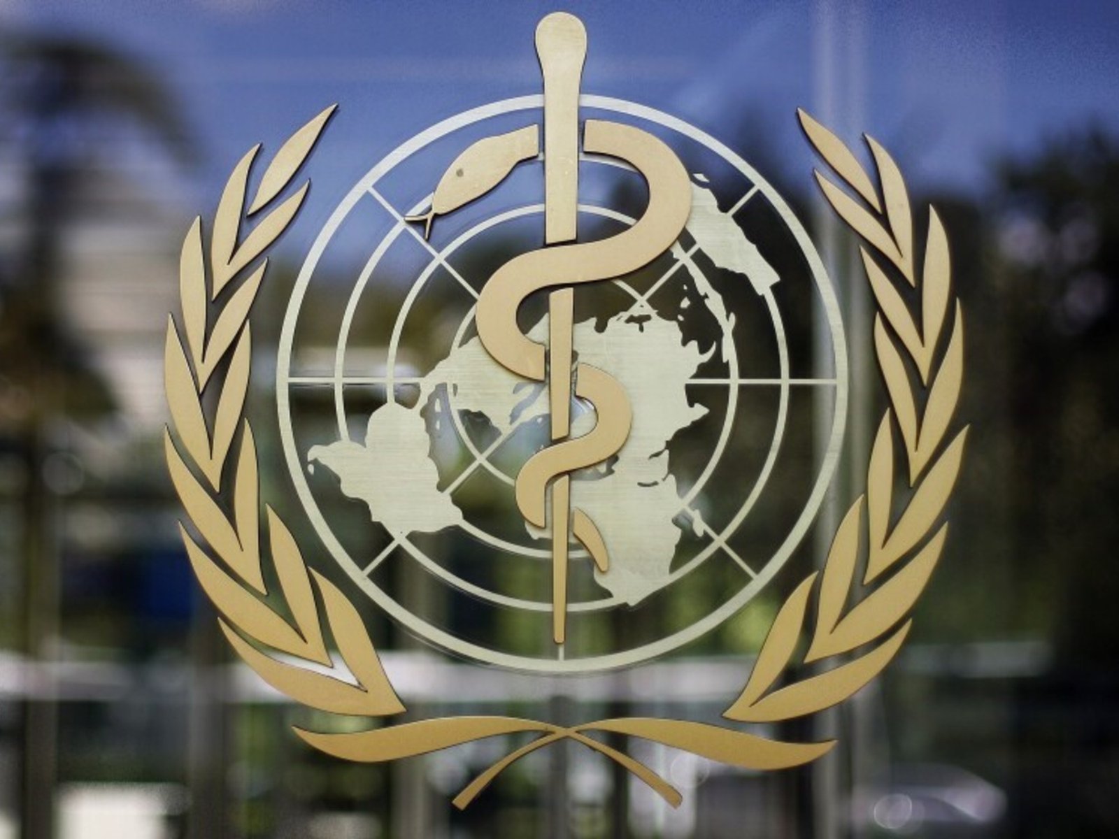Qué significa que Argentina deje la Organización Mundial de la Salud