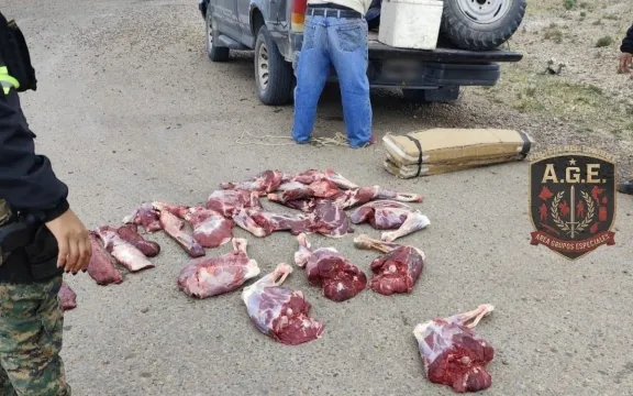 Secuestran carne de guanaco y un arma en un control sobre la Ruta 3