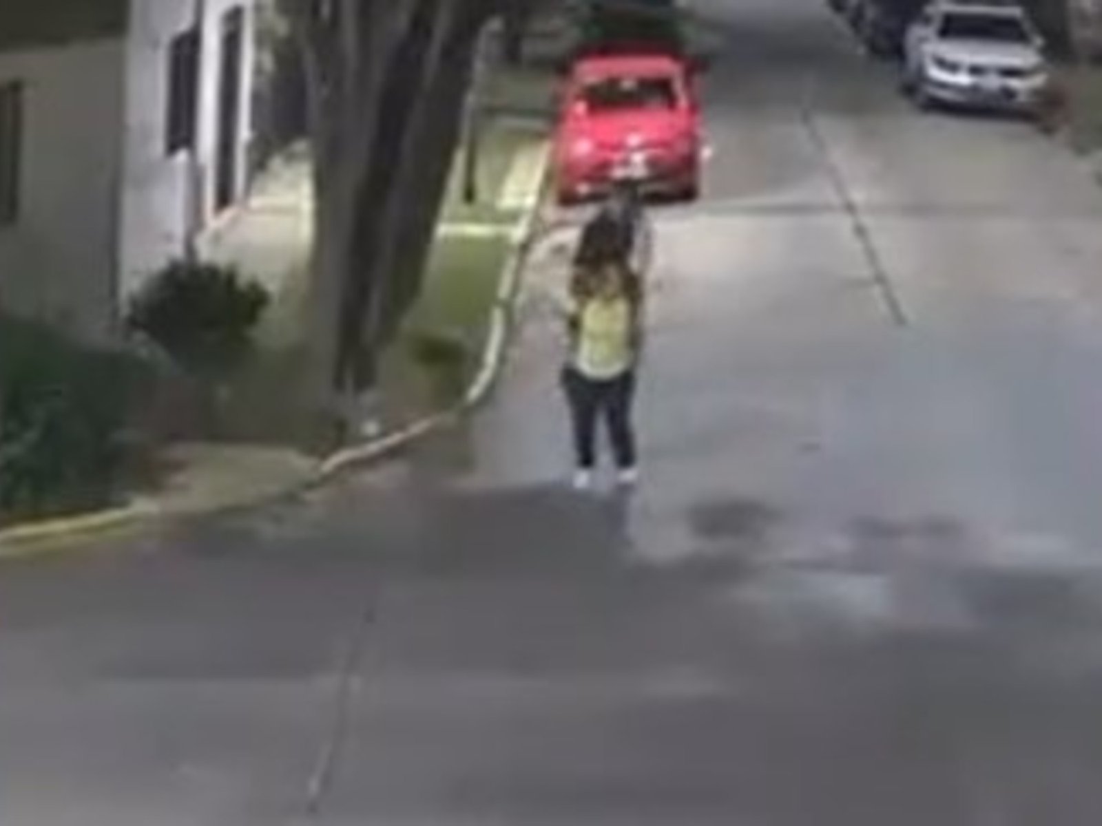 agredió a una mujer por la espalda con una patada karateca para robarle