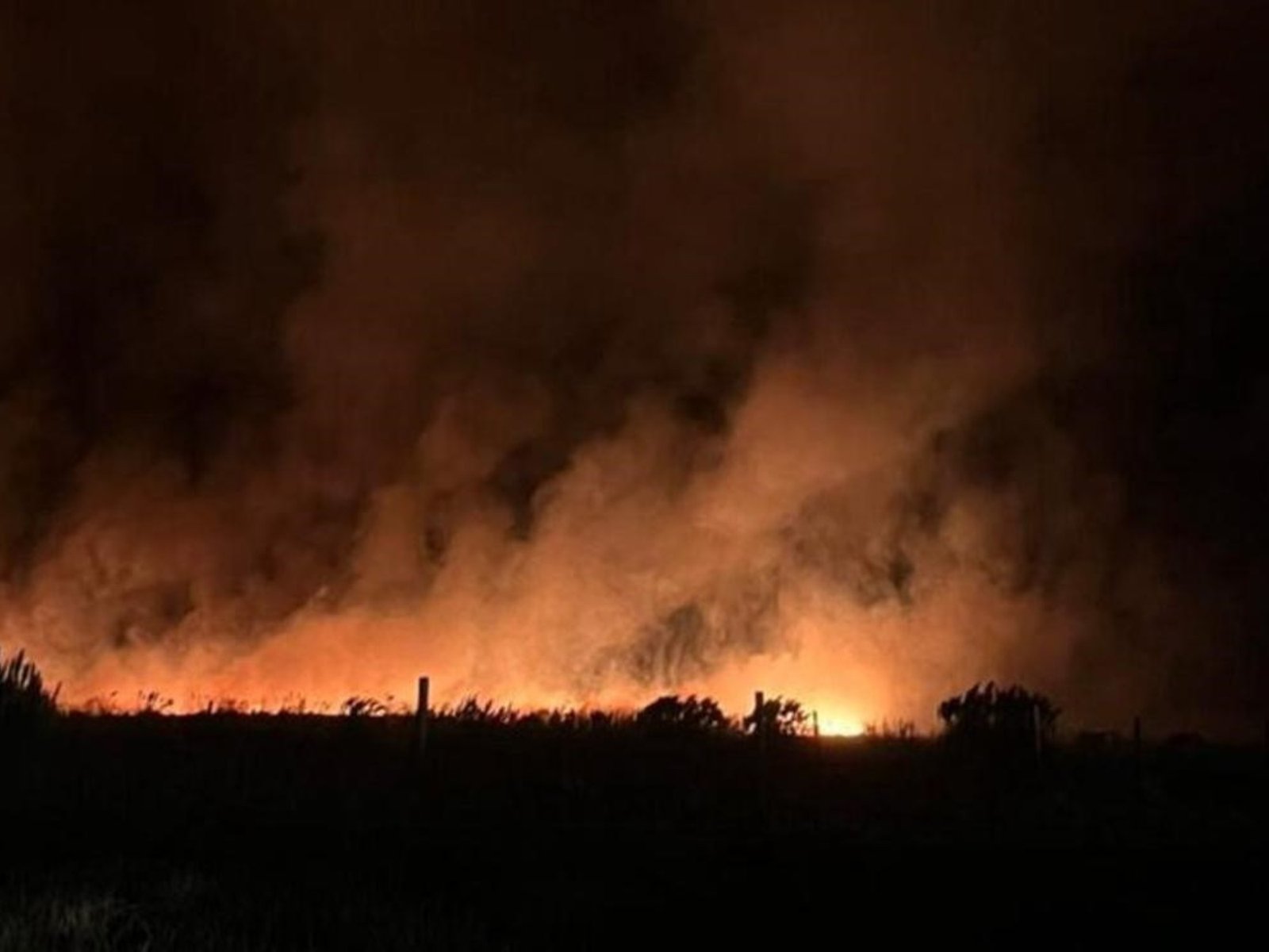 denuncian intentos de usurpación de terrenos