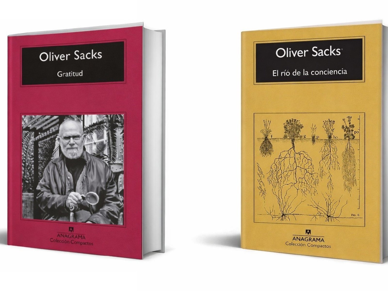 el neurólogo que convirtió la medicina en literatura