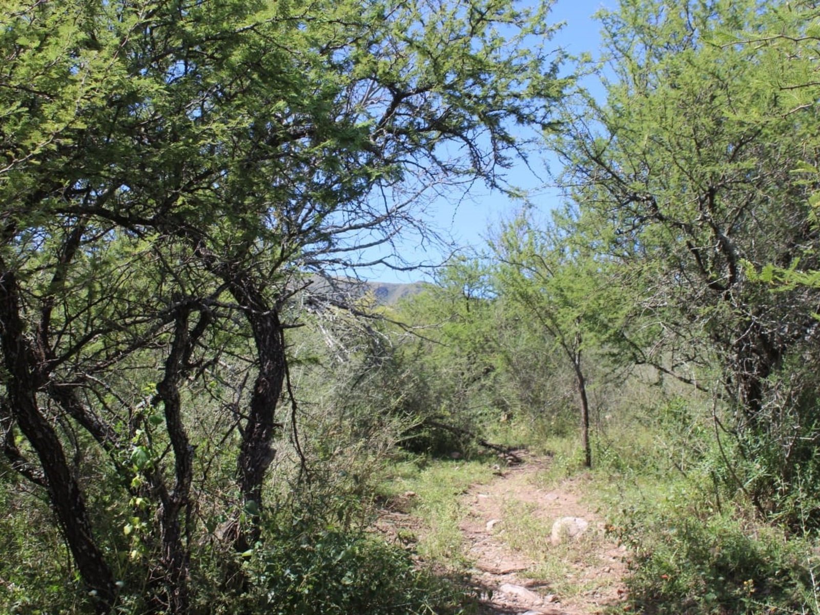 lo vincularon con el caso de una nena desaparecida, le retienen los vehículos y no puede salir