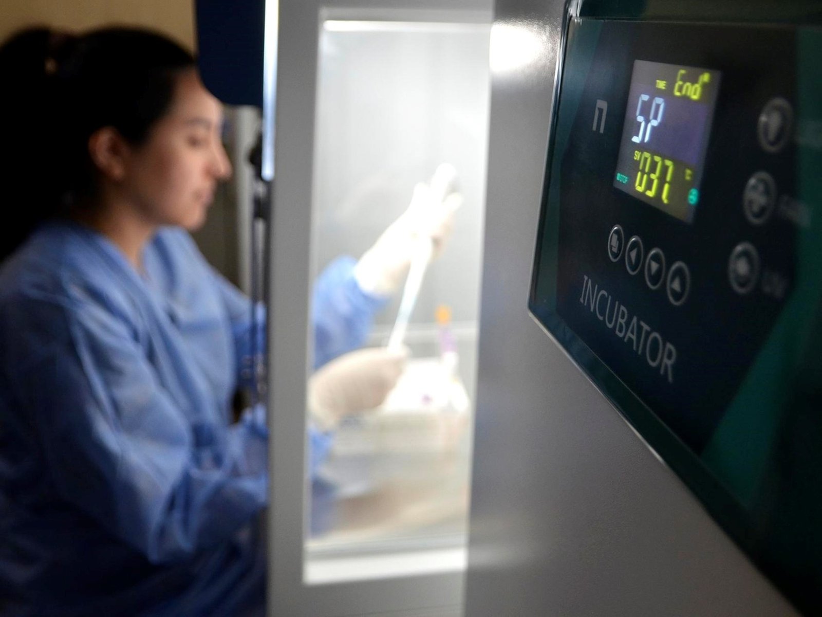 Detectaron en la Argentina seis casos de un grupo sanguíneo extremadamente raro