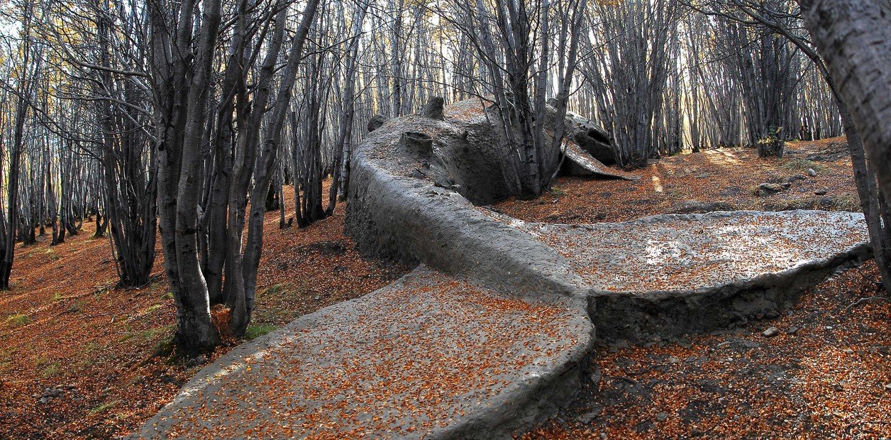 El arte piensa otras formas de habitar el planeta en tiempos de fracking y cambio climático