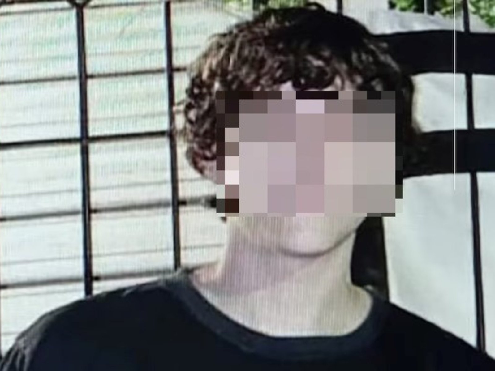 El oscuro mundo de los incels detrás de la tragedia en la escuela de San Cristóbal