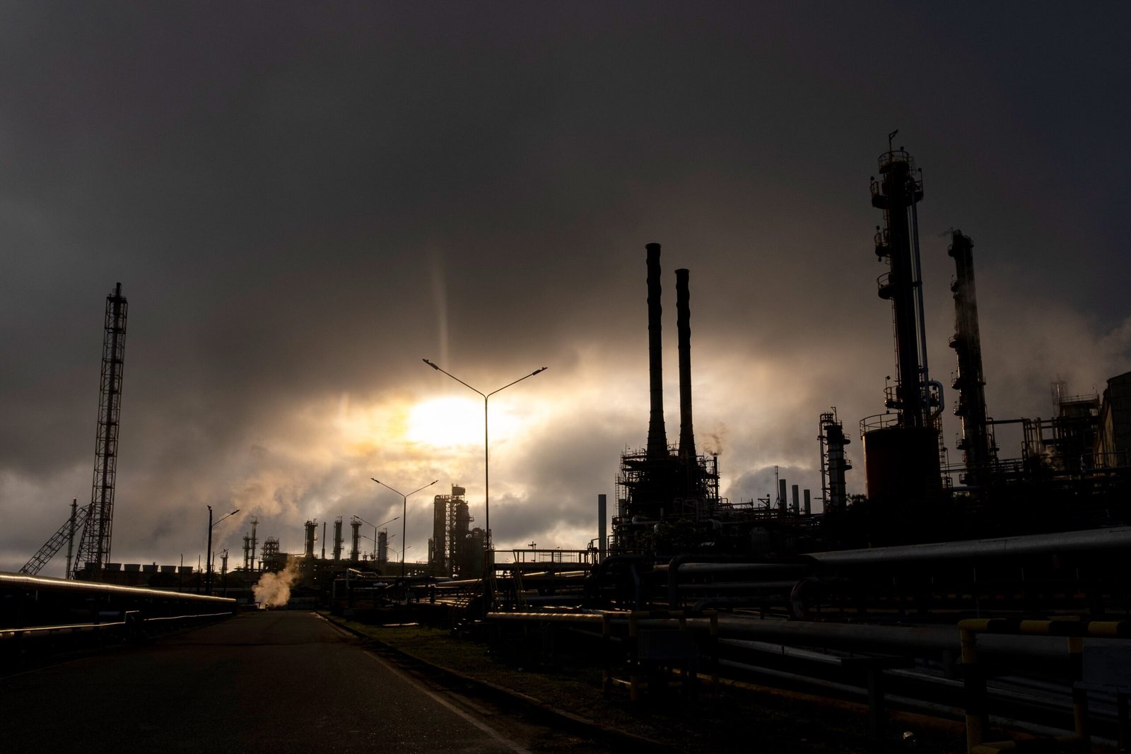 La valentía en tiempos de fósiles