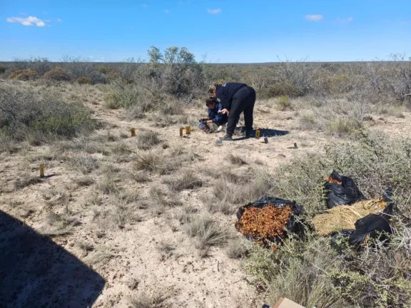 Lo balearon y lucha por su vida en terapia intensiva