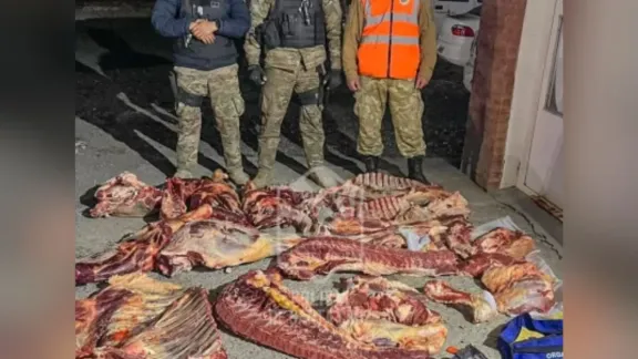 Santa Cruz: ecuestran dos vacas faenadas en un control policial