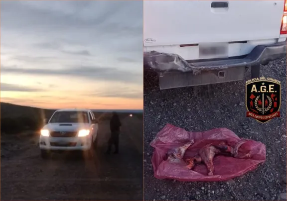 Secuestran un ñandú faenado en la Ruta Provincial 27