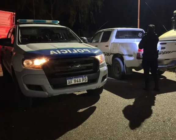 Secuestraron una camioneta por llevar 10 guanacos faenados