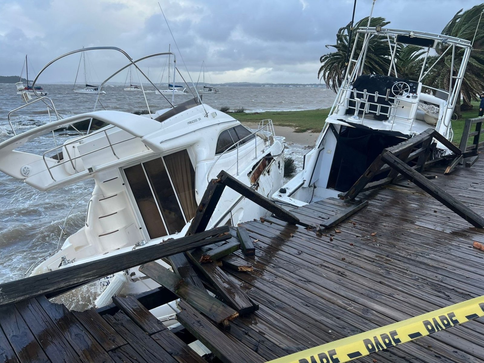 dos yates golpearon contra la costa y encallaron, y una cría de orca varada tuvo que ser sacrificada