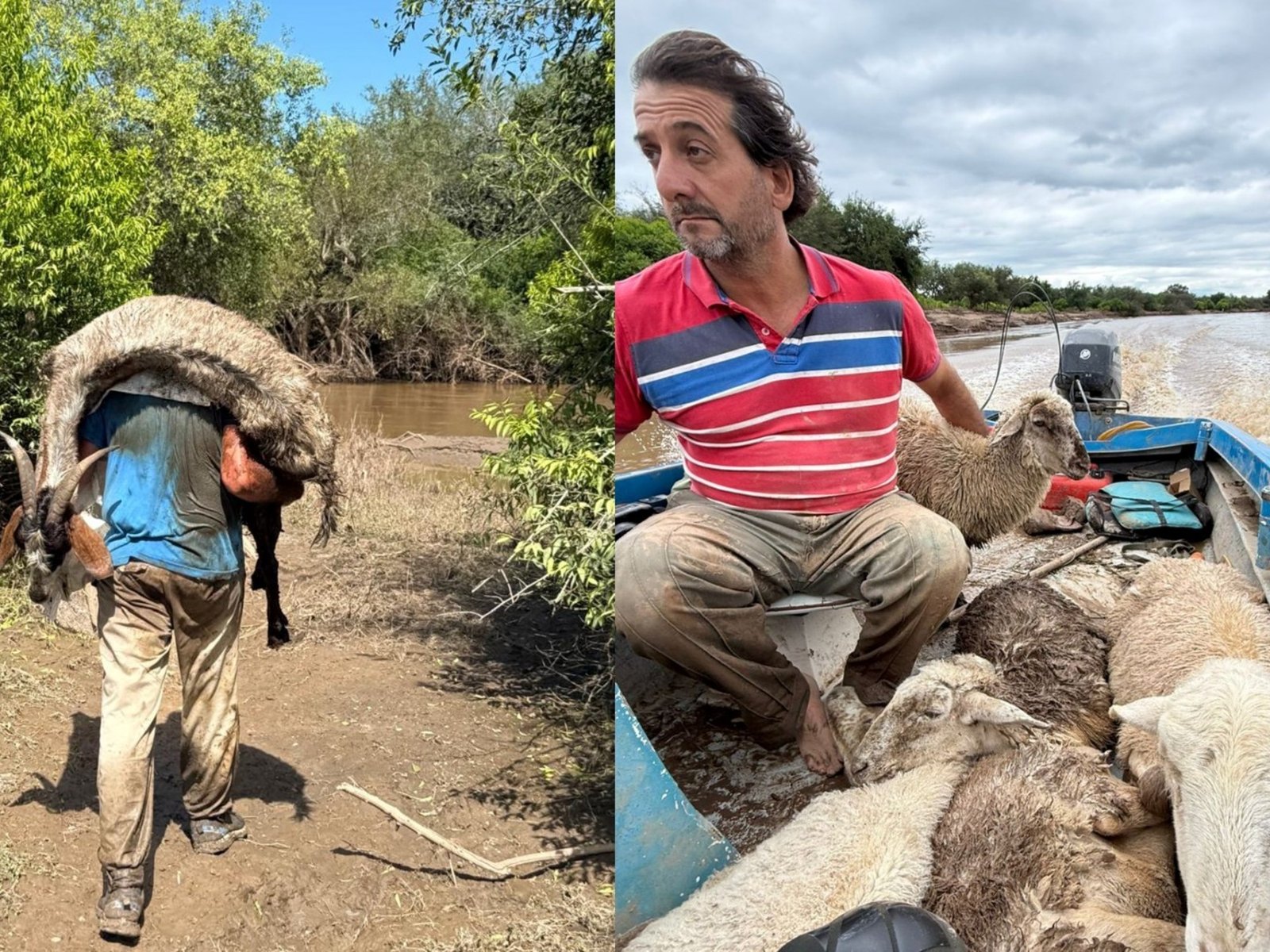 el apicultor que con su hijo y una ONG salvaron más de 300 animales enterrados en el barro