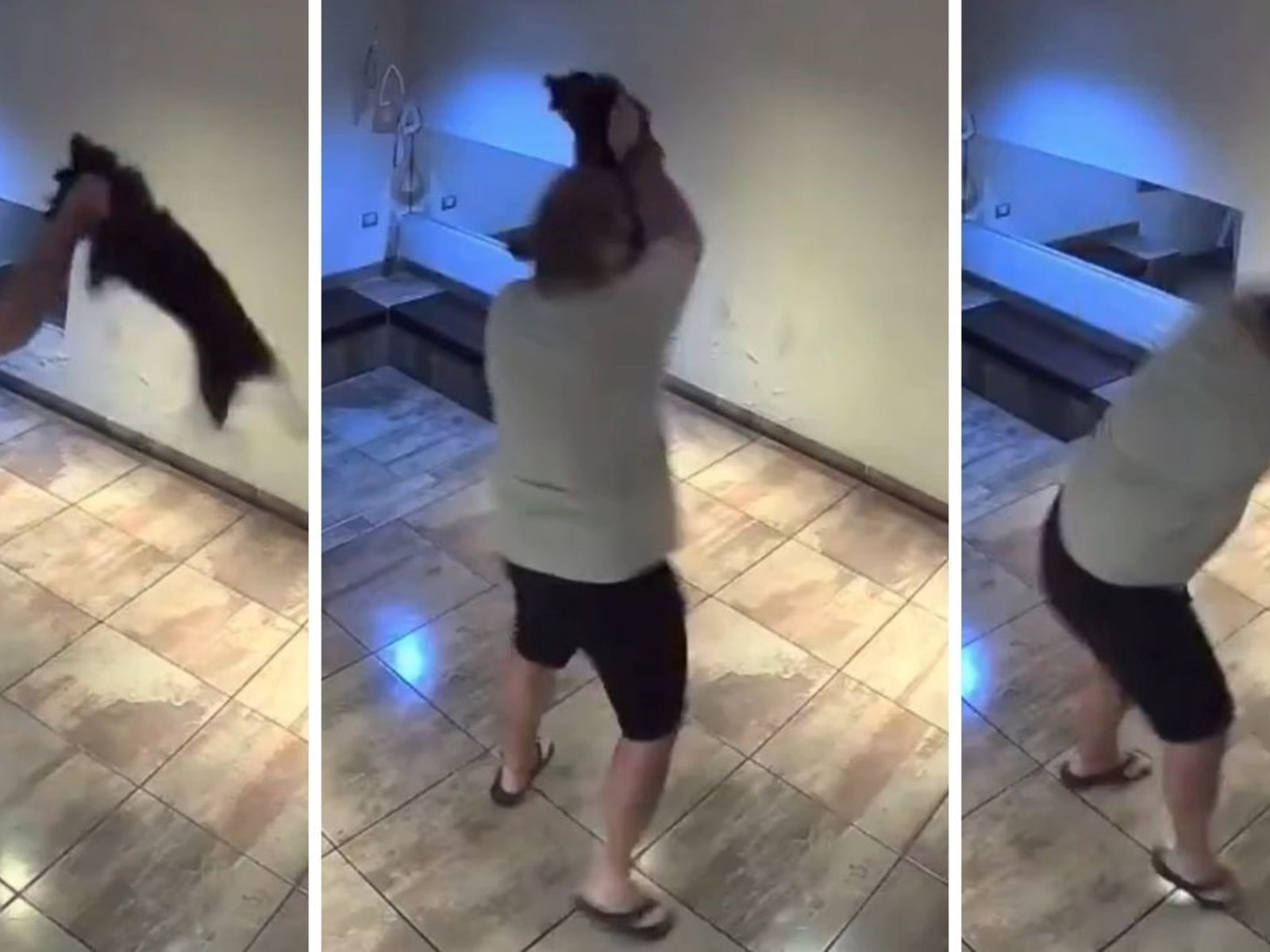 levantó a un perrito del cuello, lo sacudió en el aire y lo arrojó con violencia al piso