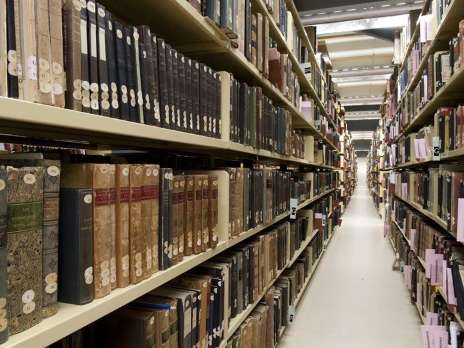 peligra el 50% de las colecciones por la ley de “agentes extranjeros”