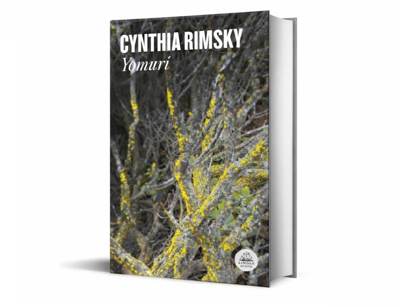 un viaje delirante que explora familia, política e identidad