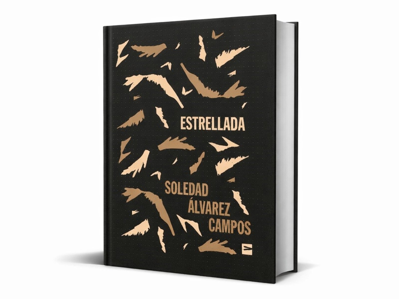 ‘Estrellada’, el debut literario de Soledad Álvarez Campos entre ídolos y paparazzis