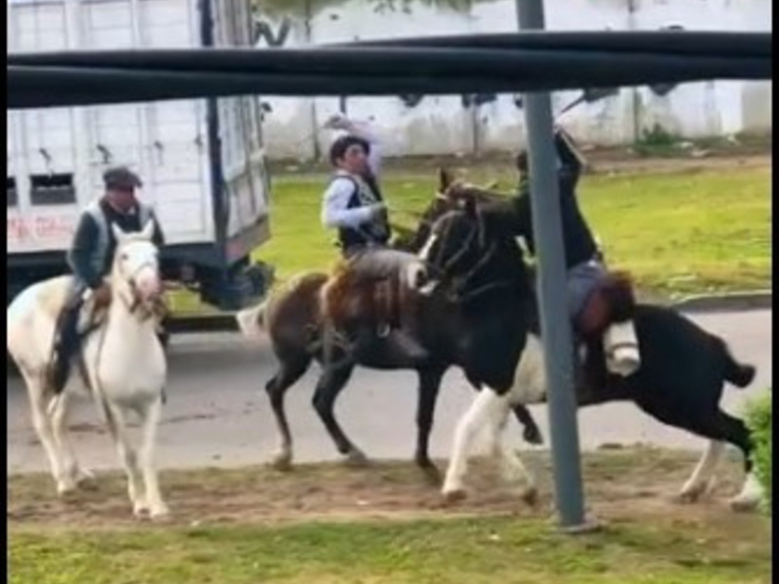 Dos jinetes se enfrentaron a los rebencazos durante los desfiles patrios en Berazategui