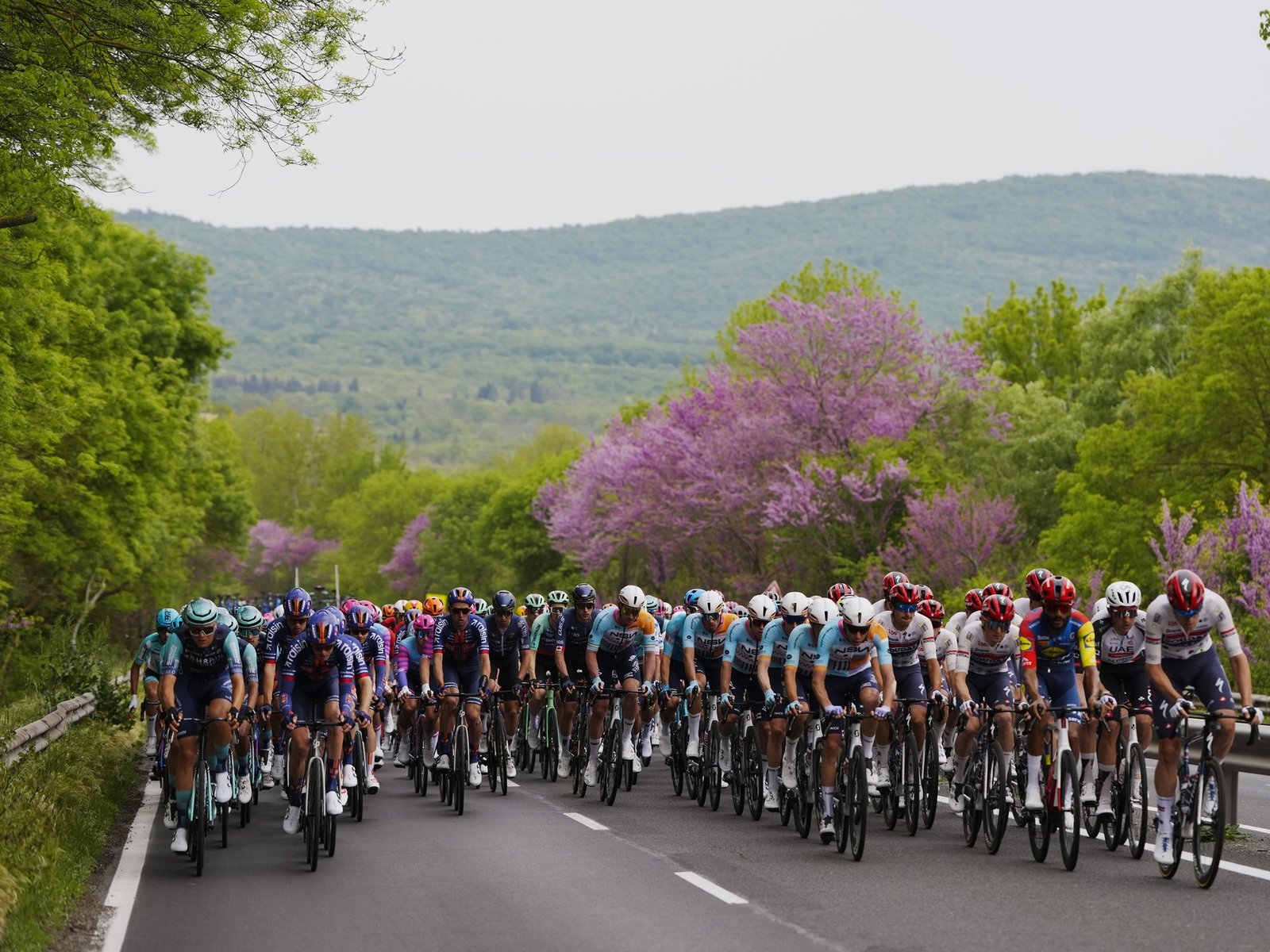 El Giro de Italia, entre la tradición del ciclismo de ruta y un impacto económico multimillonario