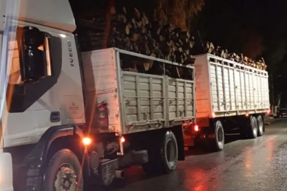 El Maitén: secuestran un cargamento de leña por irregularidades en la documentación