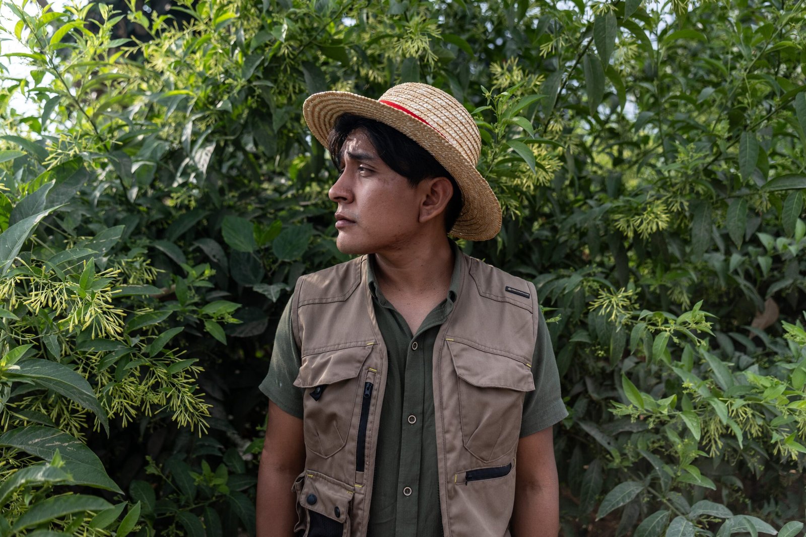 El chico de las plantas observa vecinos transitar entre árboles que sembró hace meses en Pachacamac.