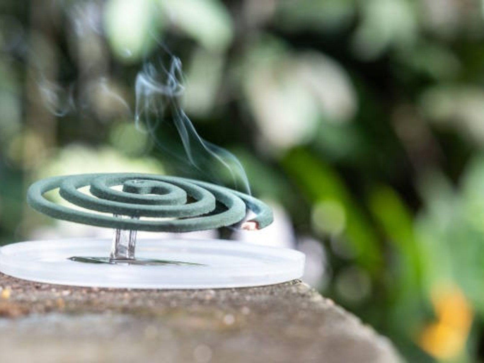 La ANMAT prohibió la venta de una marca de espirales y tabletas para mosquitos y varios productos para el cabello