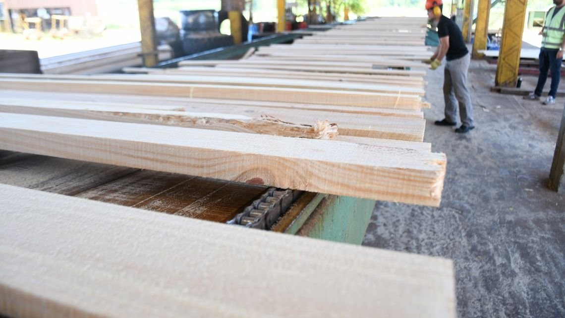 Motor de desarrollo: el sector forestal de Corrientes proyecta alcanzar los 20 mil empleos