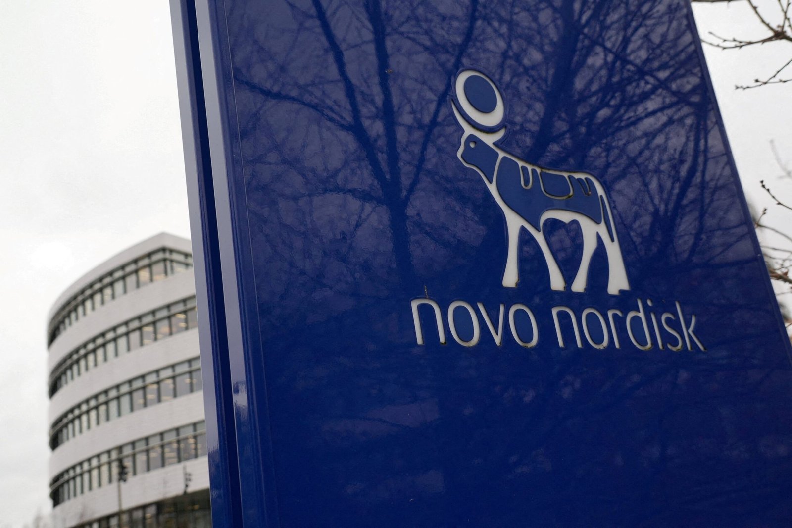 Novo Nordisk cede su terapia experimental contra el párkinson a una ‘startup’ de IA respaldada por Zuckerberg