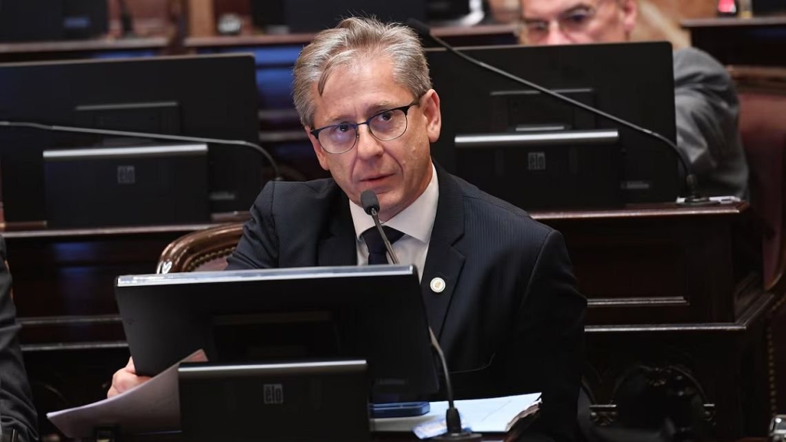 RIIR: de qué se trata el nuevo proyecto de un senador radical para atraer inversiones de más de USD 12 millones