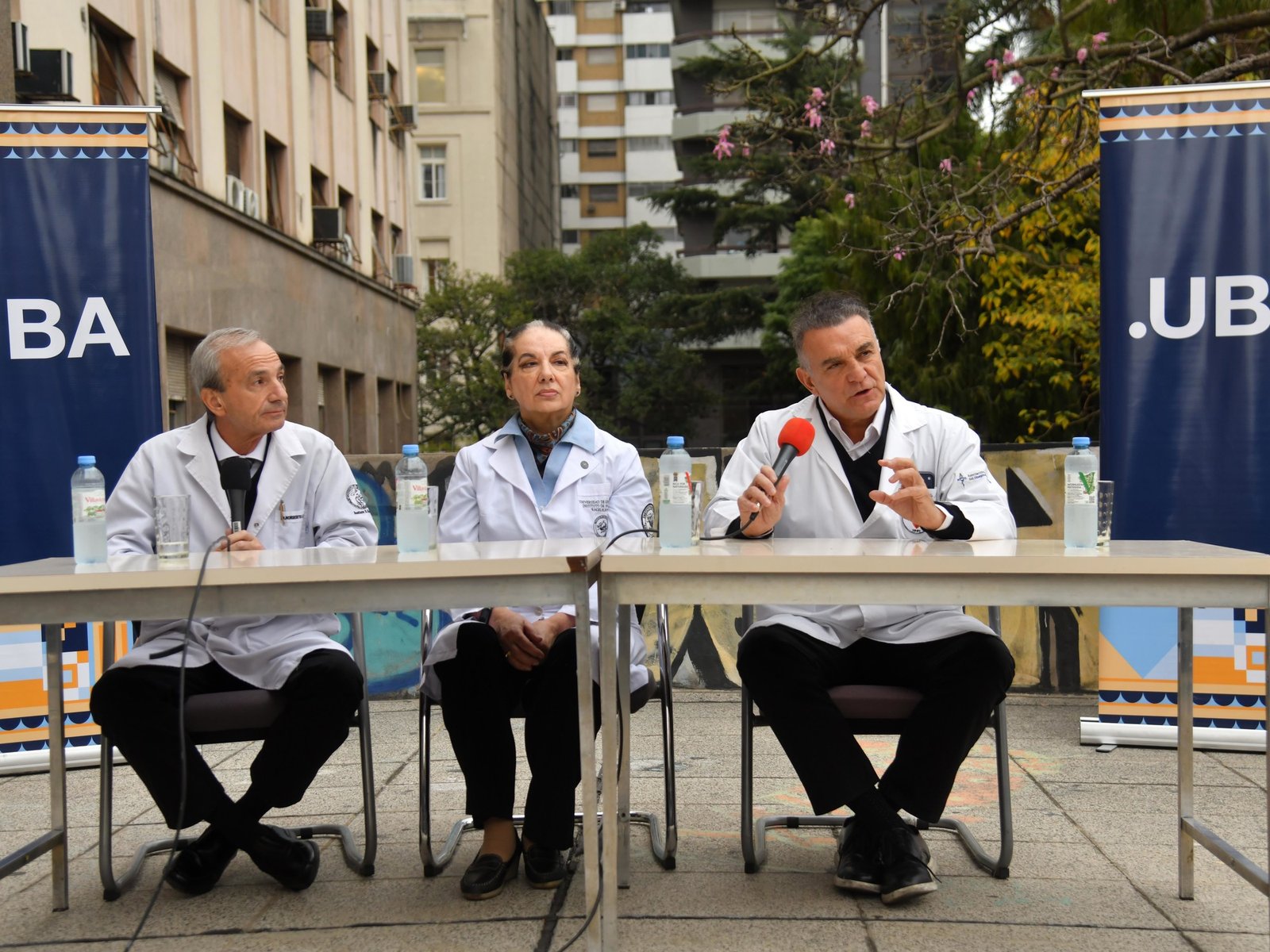 cuál fue la respuesta del ministerio de Pettovello
