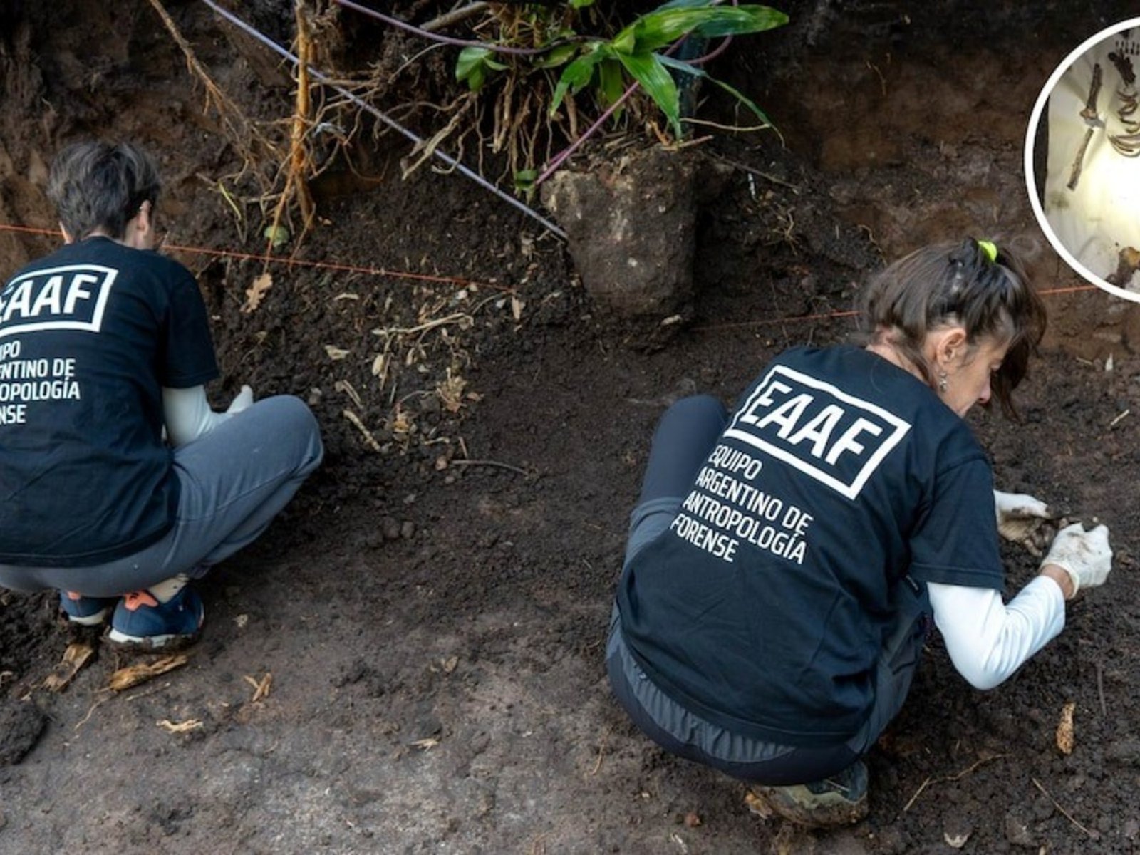 revisan con un georradar el jardín donde apareció el cuerpo de Diego Fernández Lima