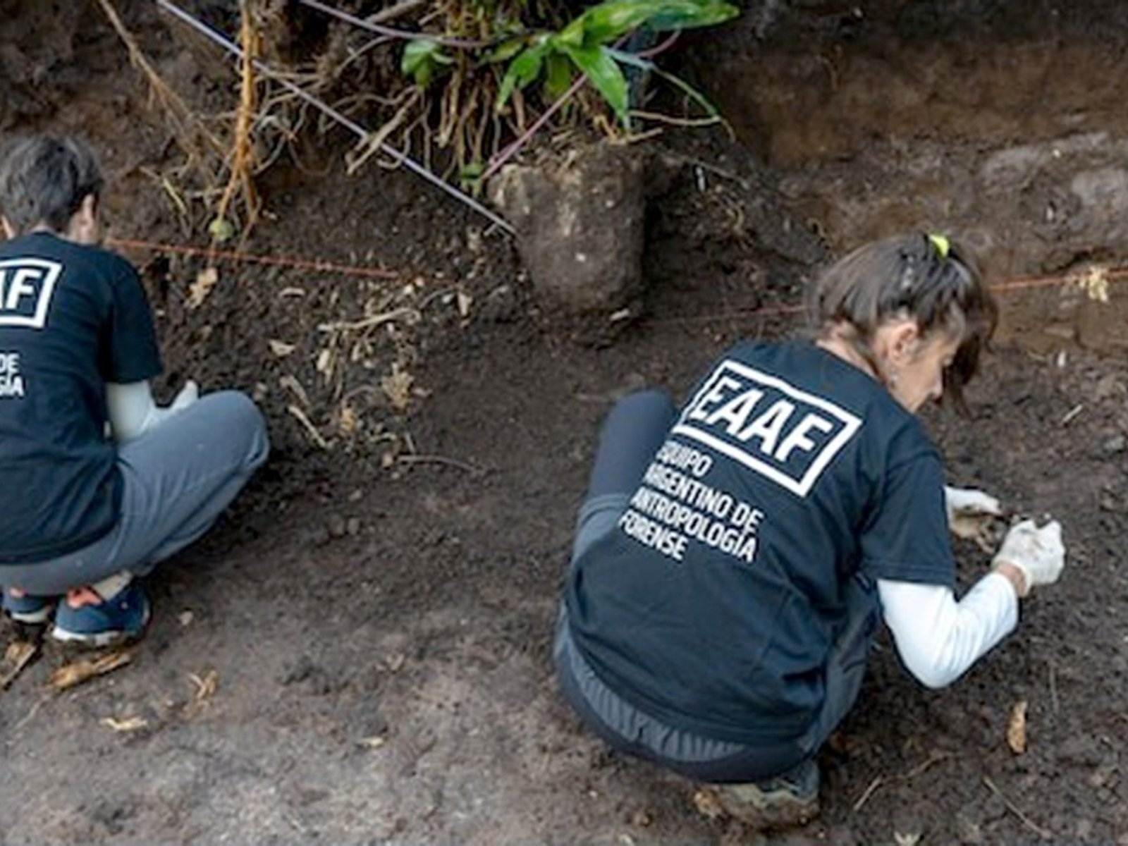 un georradar detectó algo más en el jardín de Cristian Graf y recomiendan volver a excavar