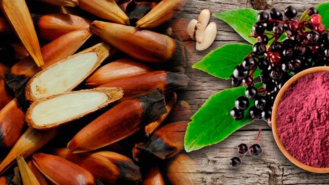 Alimentos nativos, un tesoro desperdiciado por los argentinos