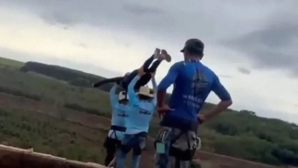 Brasil acusa de homicidio y encarcela a los operarios que lanzaron a una mujer sin sujeción desde un puente