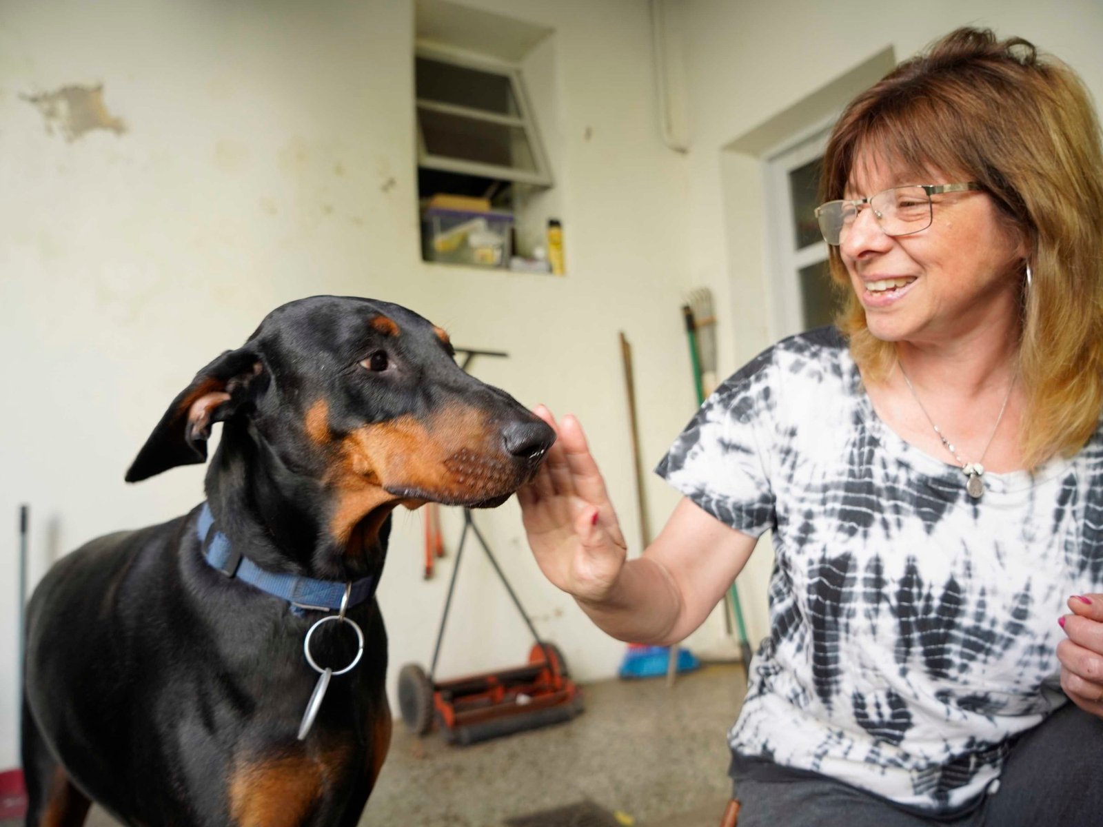 Cannabis medicinal para mascotas: cuál es la primera provincia que lo autorizó