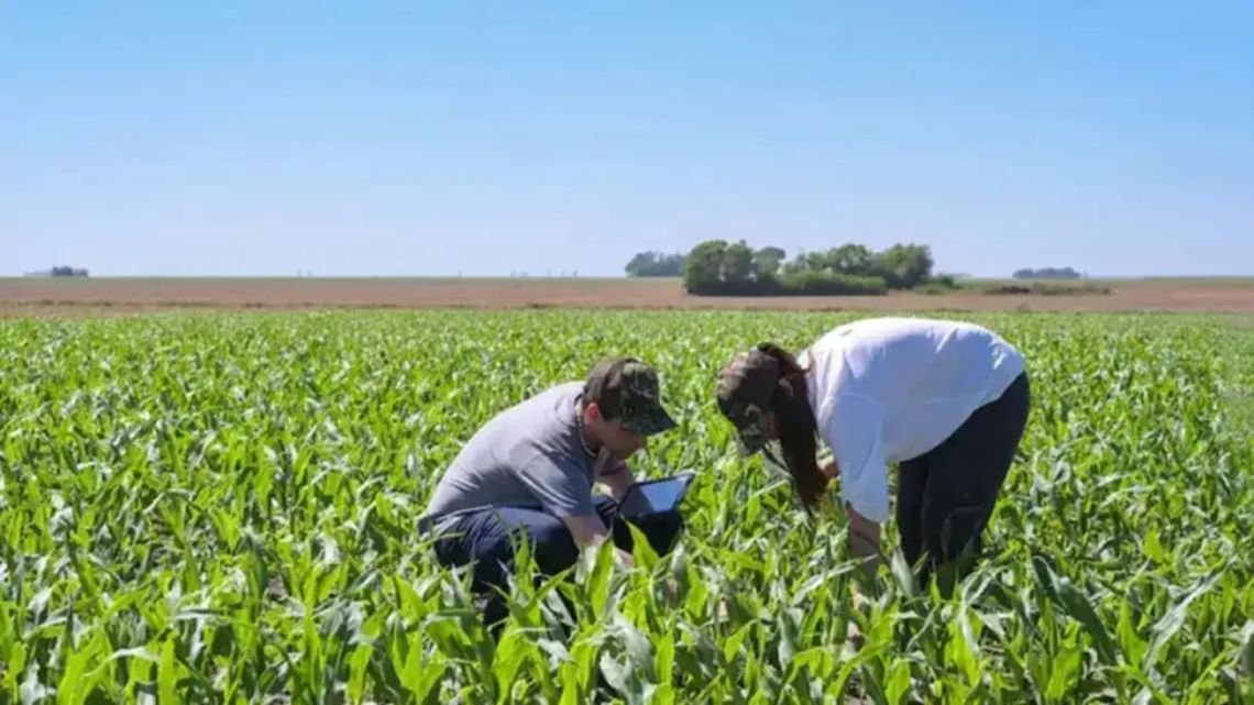 Desde el agro rechazan la adhesión al UPOV 91: “Deja al productor descubierto frente al avance de las grandes multinacionales”