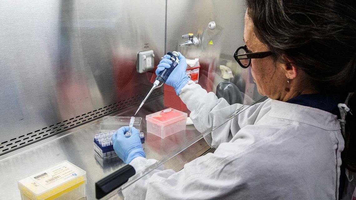 Hantavirus: se detectaron dos nuevos casos en Argentina